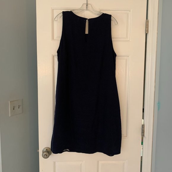 Anthropologie/Maeve Posie Shift Dress - Size XL - Picture 7 of 7